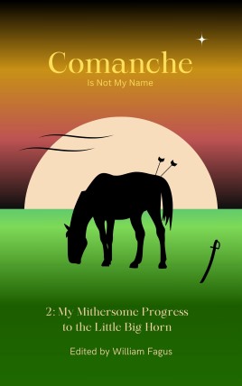 Comanche Horse 2 book cover
