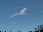 Cloud shaped like albatross
